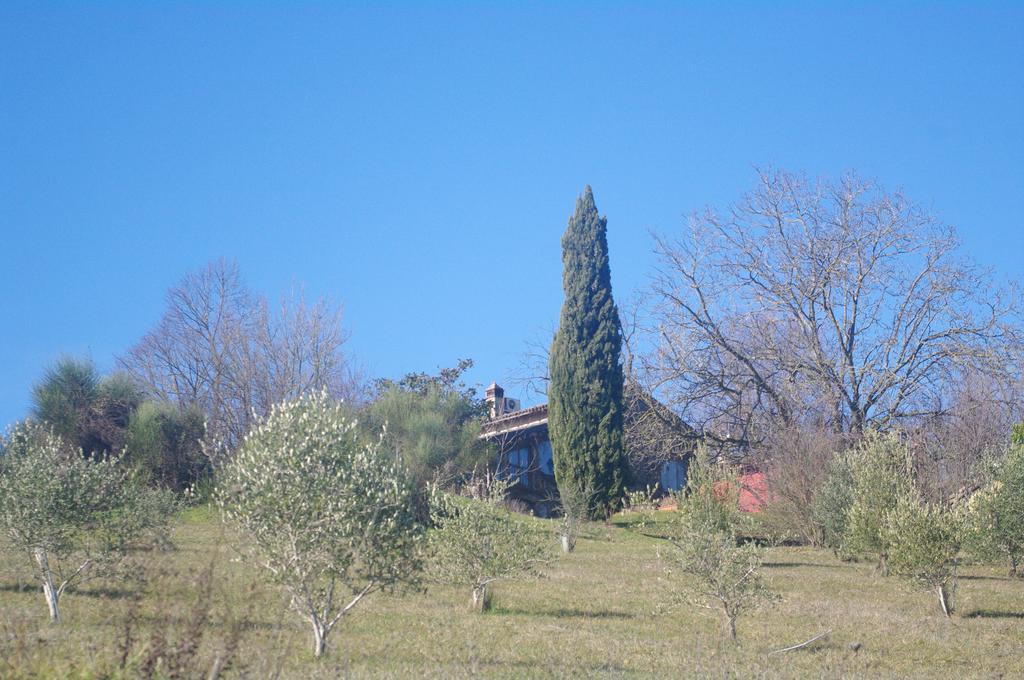Villa La Casa Sopra Le Nuvole Medesano Exterior foto