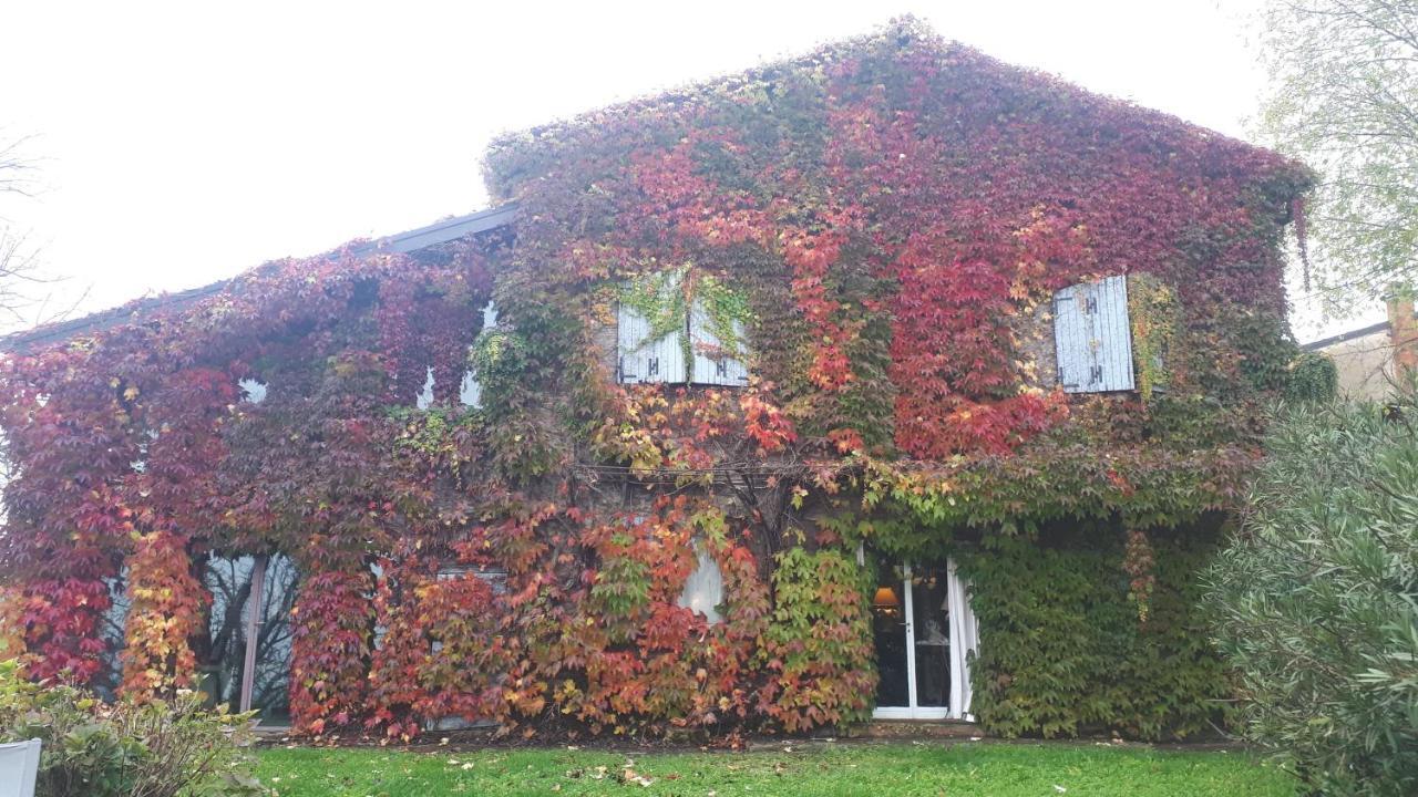 Villa La Casa Sopra Le Nuvole Medesano Exterior foto